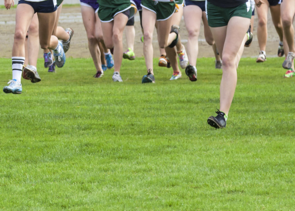 group of runners starting a cross country race
